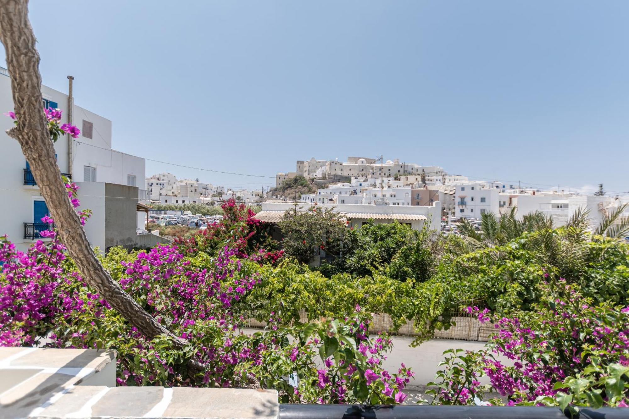 Sofi Pension Naxos City Dış mekan fotoğraf